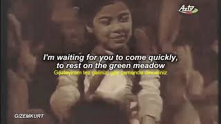 Cip Cip Cücələrim (Original Lyrics & English Translation) Jujalarim / USSR 1959 / Azerbaijani Song