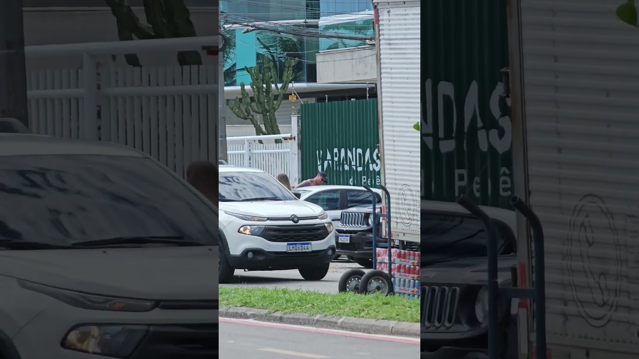 Brazil Rio de Janeiro city vibe Atmosfera da cidade do Rio de Janeiro no Brasil