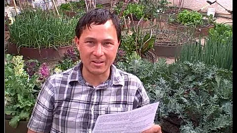 Can you put oranges in compost?