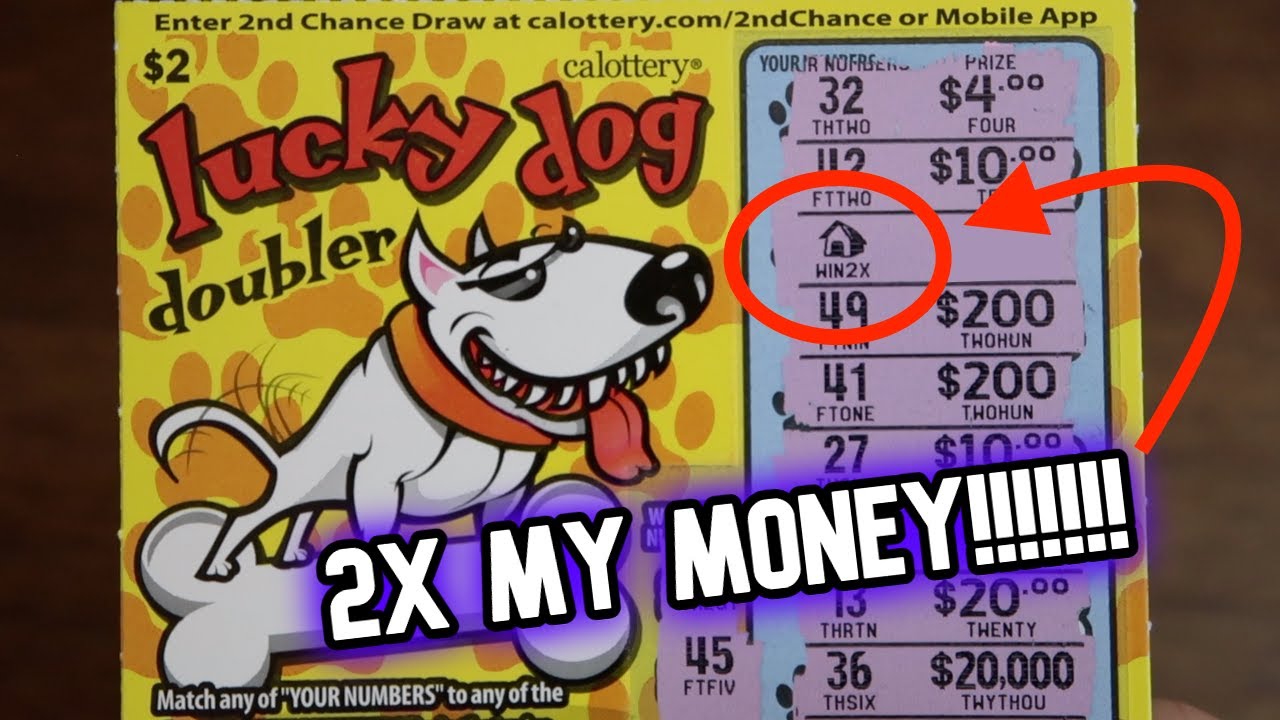 DIDN'T EXPECT THESE WINS! Lucky Dog Doubler 2 Lottery Scratchers