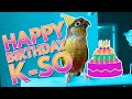 Happy Birthday K-SO!
