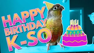 Happy Birthday KSO!