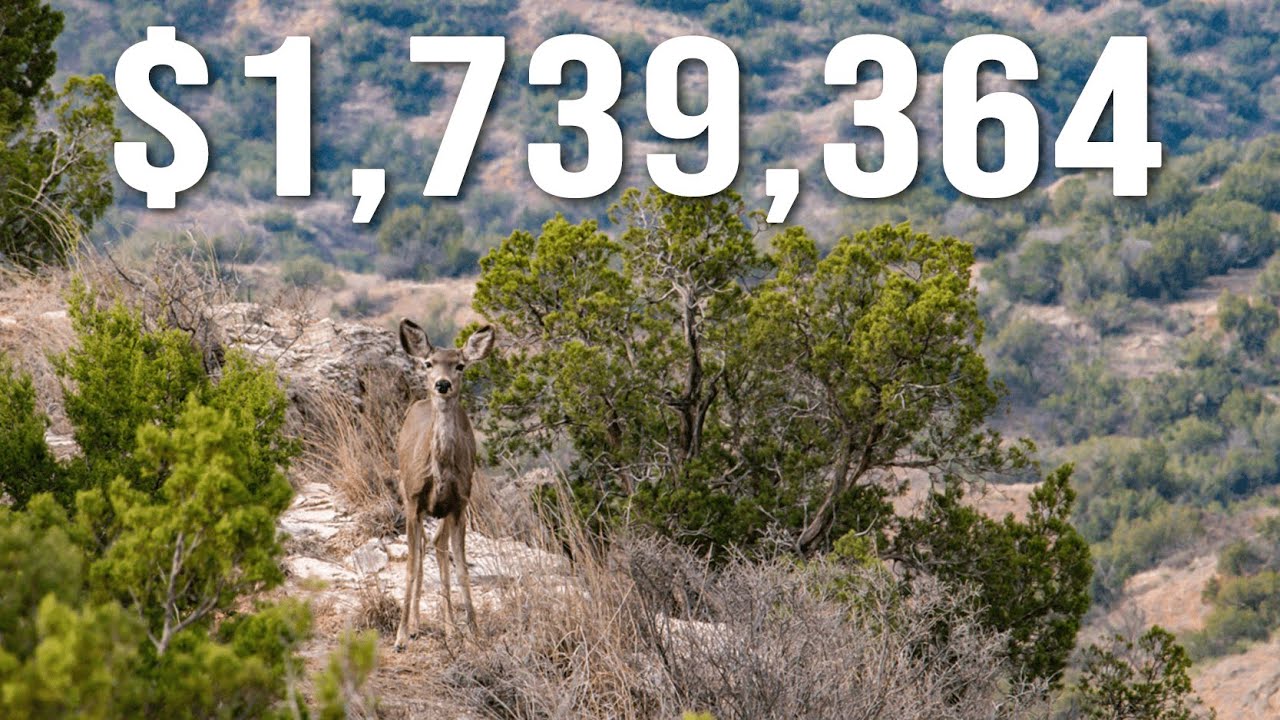 Stunning Canyon Setting, Healthy Wildlife Population, Turkey Creek