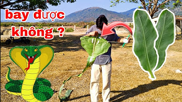 Thử làm diều rắn bằng lá chuối và cái kết | Lâm Phạm