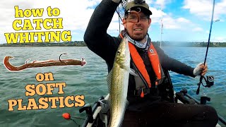 How to Catch Whiting on Soft Plastics with Fishing Mad screenshot 5