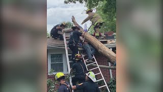 Tree falls on worker in Chesapeake