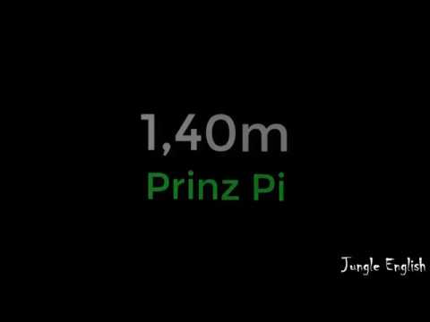 Prinz Pi - 1,40m - Sub Español / Alemán