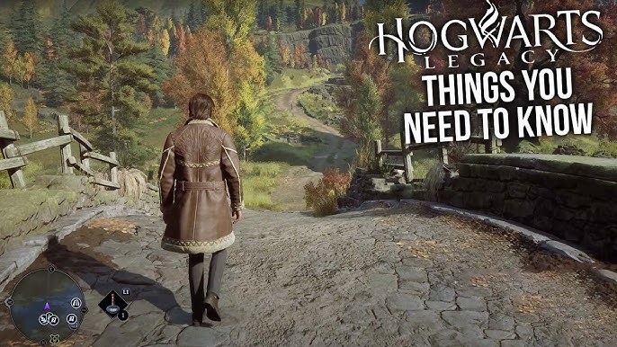 Hogwarts Legacy: Top 10 Worst Features That Every Player Absolutely  Despises - EssentiallySports