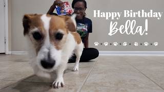 Daily vlog: Celebrating Bella, Chest and chit chatting.