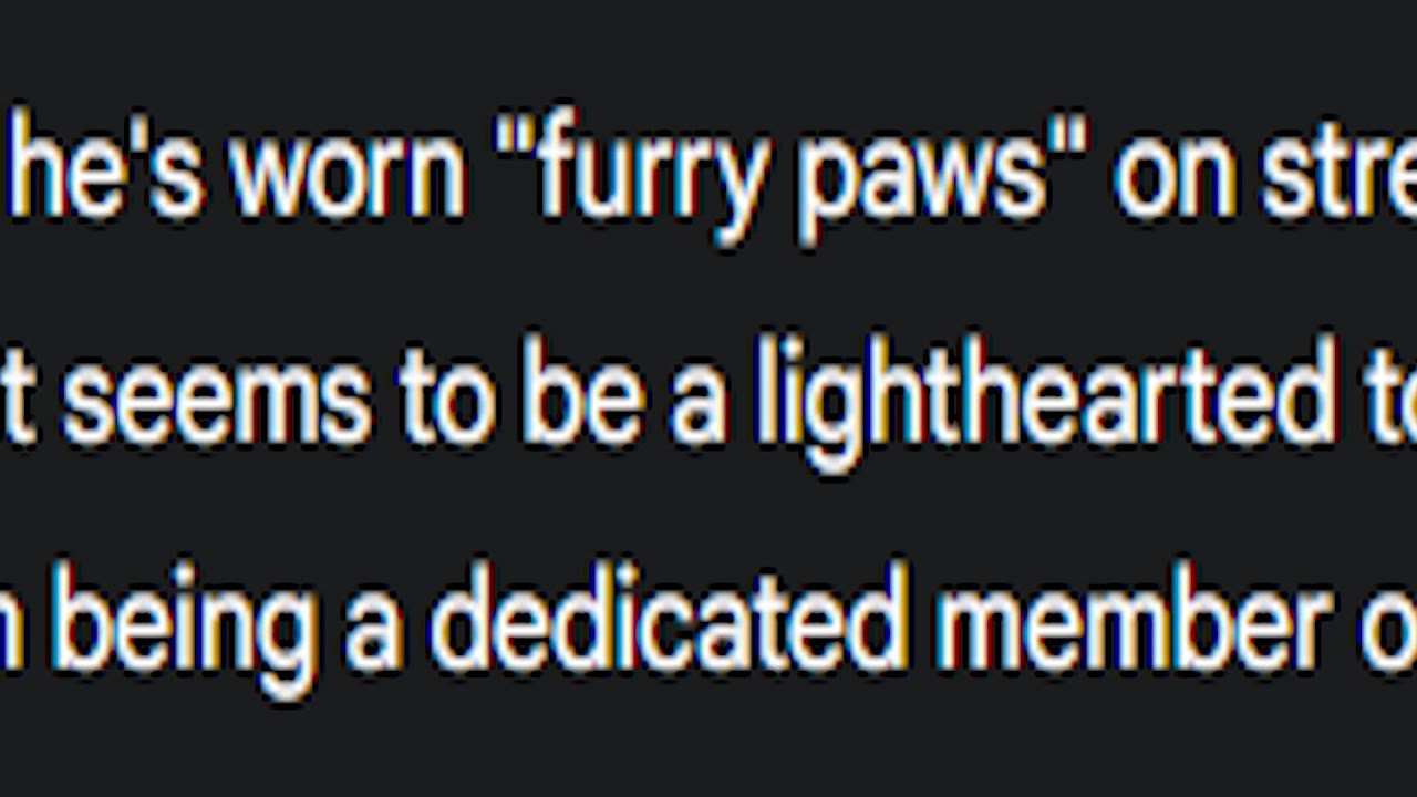 making gemini say that zoink is a furry