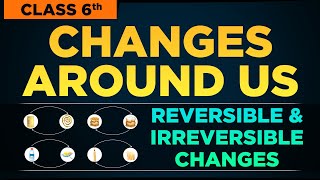 Celebrity CHANGES AROUND US |Class 6 cbse science | 6th Reversible and Irreversible changes | Ncert class 6 Profile