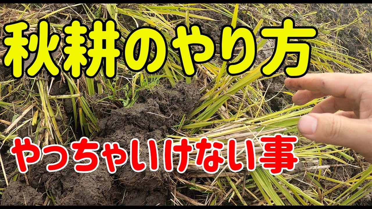 秋耕のやり方とやっちゃいけない注意ポイント【田んぼ】【秋耕】【ロータリー】