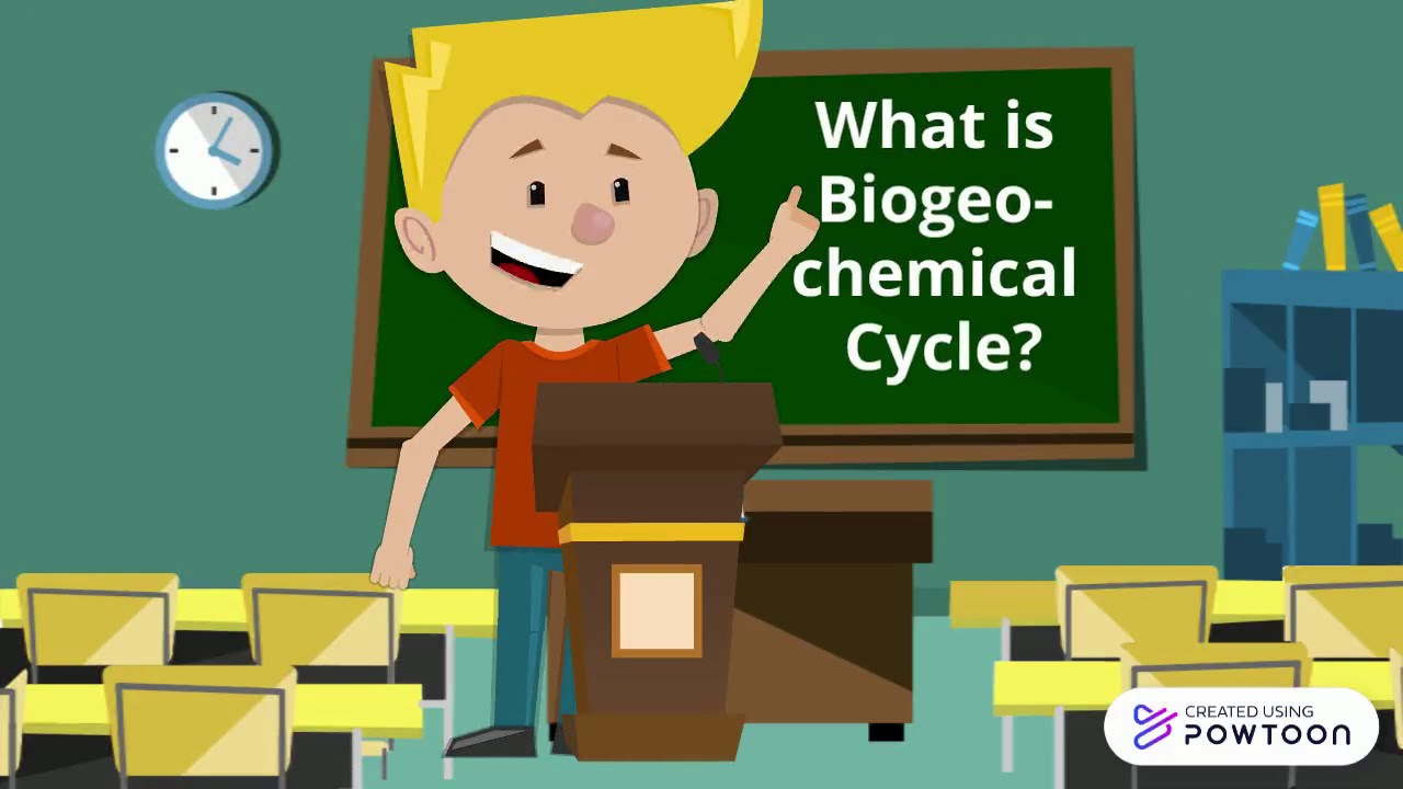 Biogeochemical Cycles - YouTube