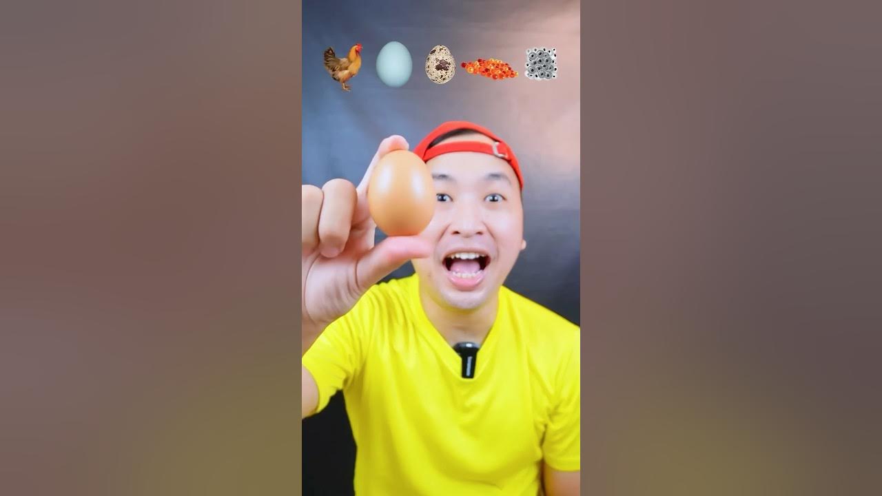 Makan Aneka Telurππ¦π¦ππΈ #asmr #mukbang #makansesuaiemoji #videomakan Makan Aneka Telurππ¦π¦ππΈ #asmr #mukbang #makansesuaiemoji #videomakan