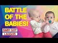 The Funniest Fighting Baby Videos 2017!