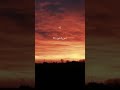 تلاوه نادره من سوره هود للشيخ محمود الشحات انور لاول مره تسمعها تلاوه نادره من سوره هود للشيخ محمود الشحات انور لاول مره تسمعها