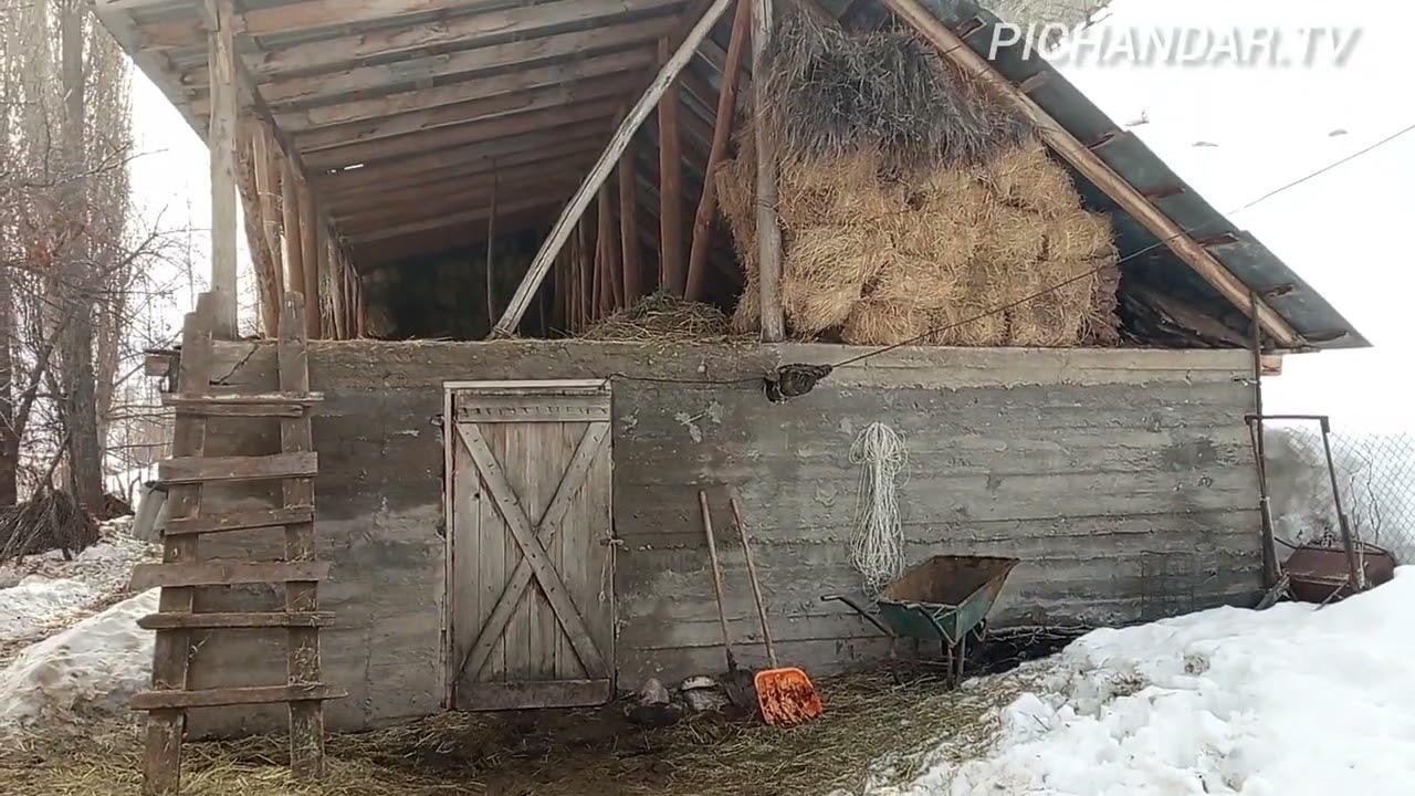 Моҳипарварӣ дар деҳаи пичандар ноҳия Варзоб 