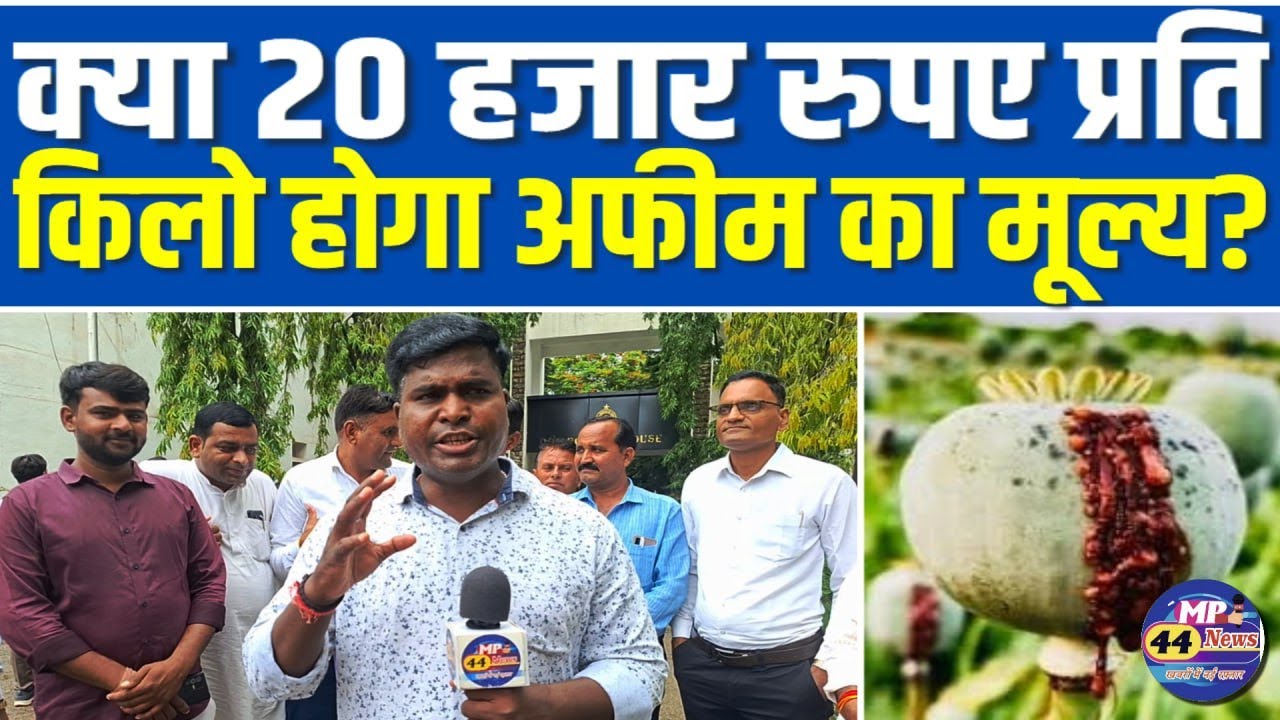 क्या 20 हजार रुपए प्रति किलो होगा अफीम का मूल्य ? @mp44news