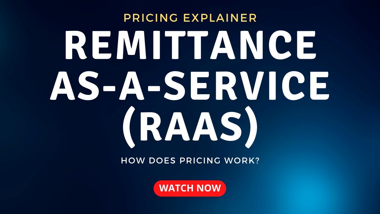 [395] Explaining how the Pricing Works for Remittance-as-a-Service (RaaS)