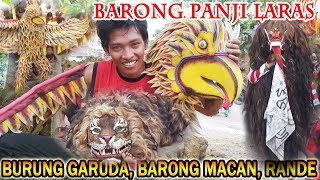 BARONG PANJI LARAS - TARI BURUNG GARUDA, MACAN BARONG, RANDE