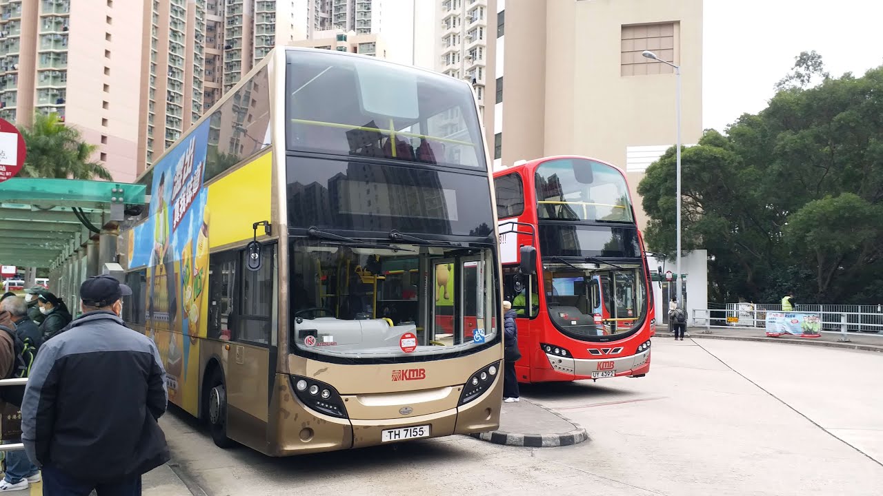 Download Hong Kong Bus KMB ATENU481 @ 213D 九龍巴士 Alexander Dennis Enviro500 MMC 中秀茂坪 旺角 中秀茂坪