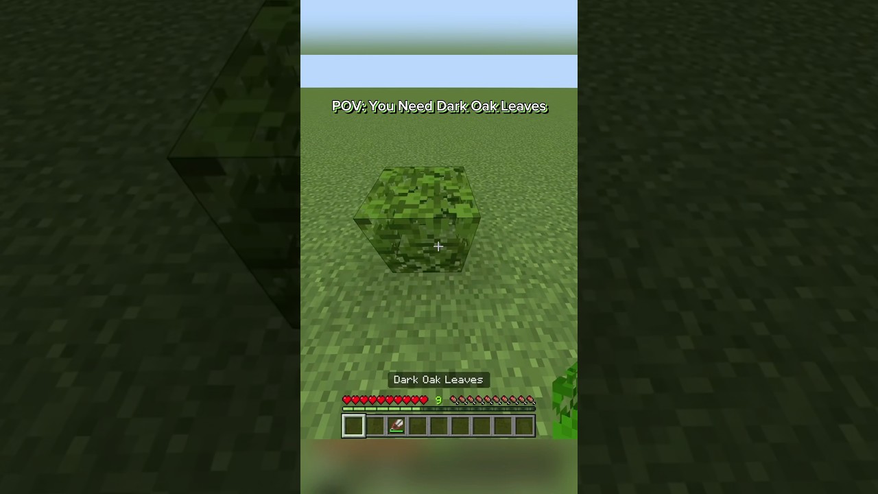 POV: You Need Dark Oak Leaves 