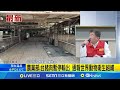 非洲豬瘟疫情