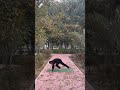 Day 12 | Surya Namaskar Challenge 🌞|Strength • Flow • Confidence | Yoga with Sanjay
