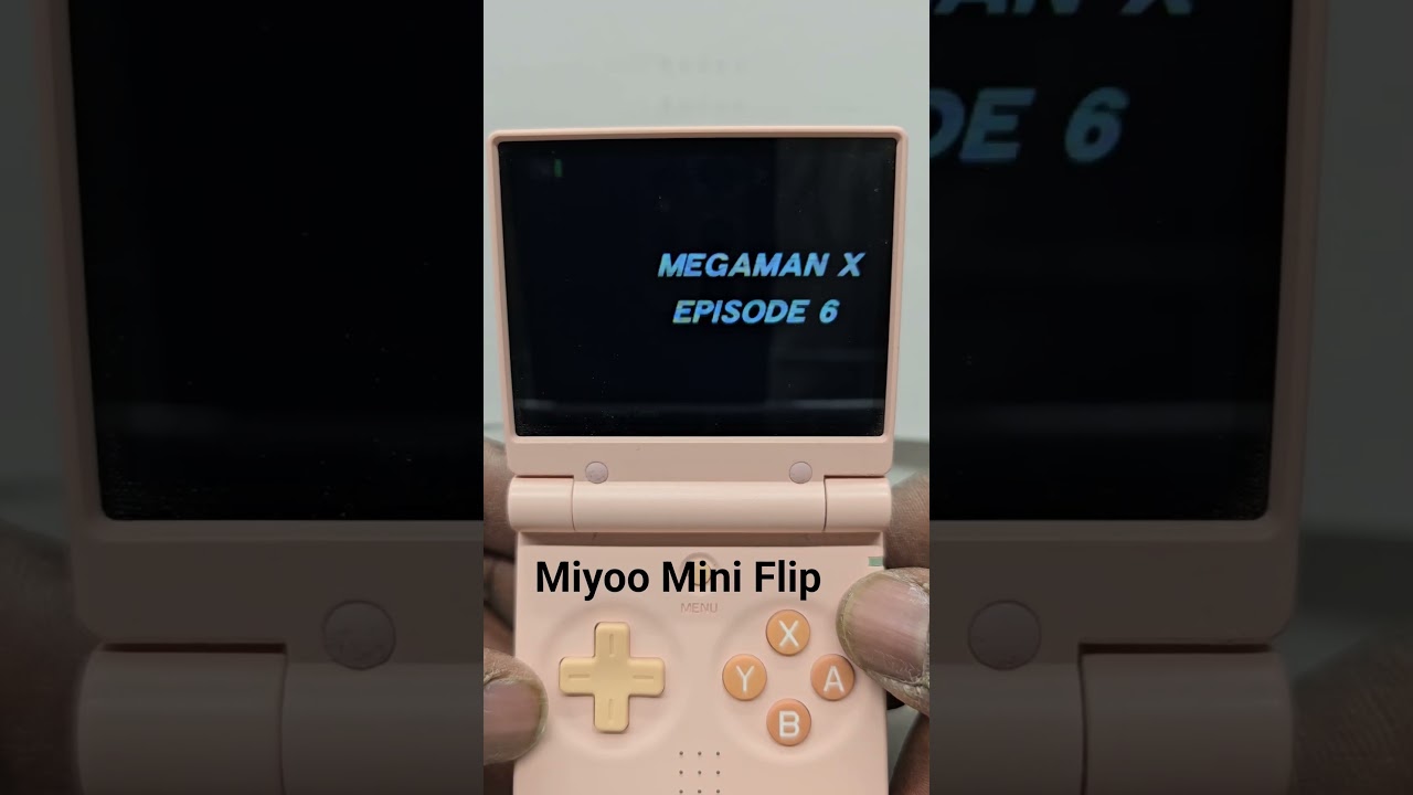 Miyoo Mini Flip.