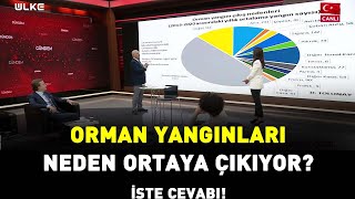 Doğanay Tolunay: Orman Yangınlarının Tek Bir Nedeni Yok I Gündem