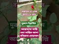 দুরুদে ইব্রাহিম #islamicvideo #shortvideo