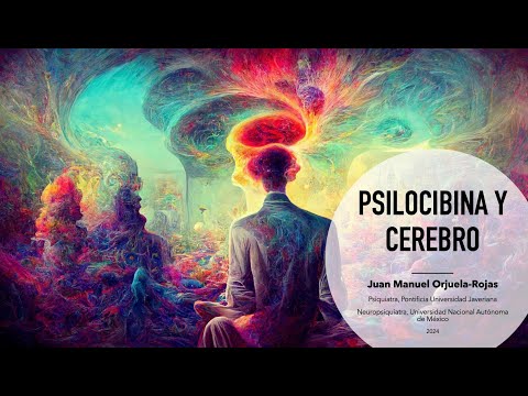 ¿Qué le hace la psilocibina a mi cerebro?