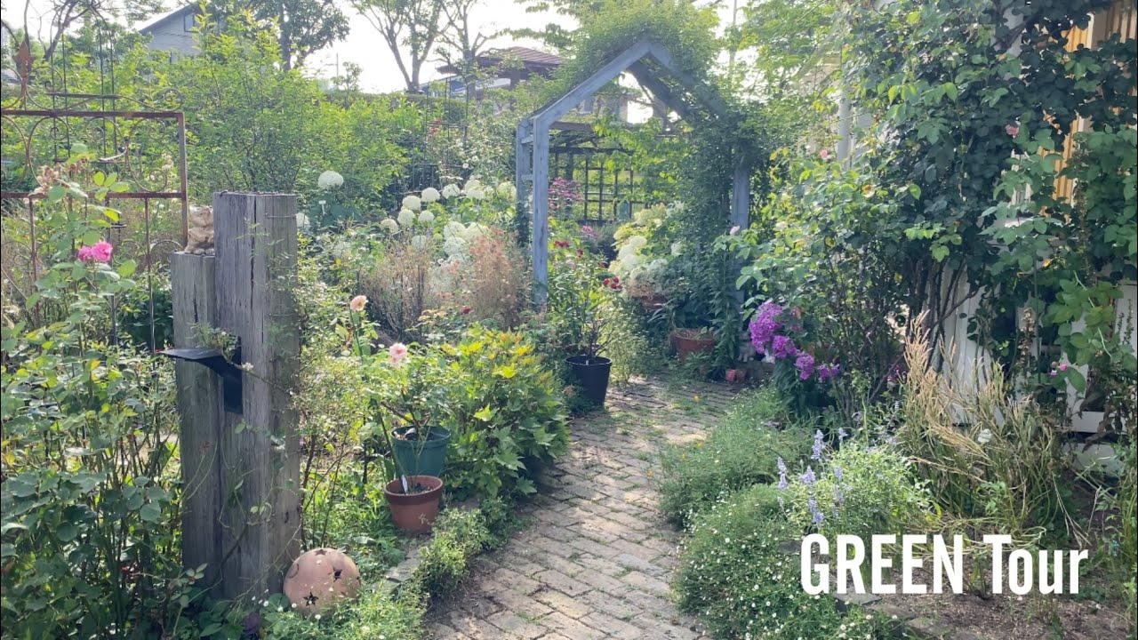 【個人邸】NHKガーデンコンテスト最優秀賞のお庭の春の終わりから夏の始まりはホワイトアナベルの清涼感溢れる爽やかすぎるお洒落な景色！| Y様邸 | 園芸/ガーデニング店巡り | 大阪