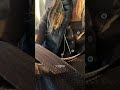 Travel with Me to My Evening Class on the O-Train