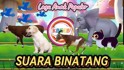 Suara Binatang Lucu Lagu Viral anak populer indonesia - Kbeeb #laguanakpopuler #suarabinatang