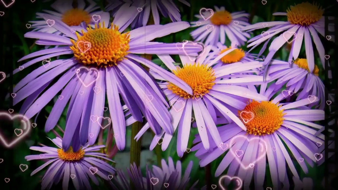 8 скрытых признаков, что вы привлекательны в зрелости | Стоицизм