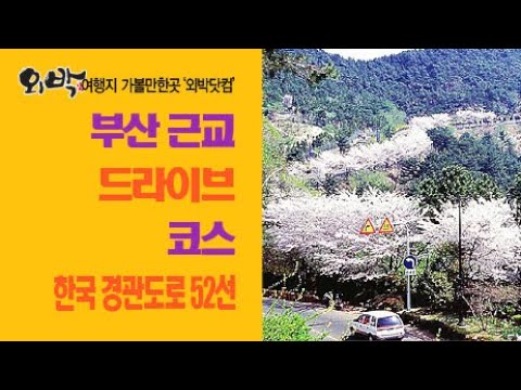 부산 근교 드라이브코스 가볼만한곳 국내여행지 부산 근교 드라이브 데이트코스추천 나들이갈만한곳 South Korea Popular Trip Busan Tourism Travel