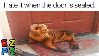 Rblessedimages Watch This Vid To Be Blessed