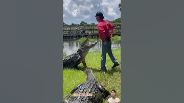 Trả cho bạn 100 triệu một tháng bạn có dám làm không - 4000$ a month do you dare to do it?