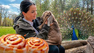 Life Far from the City: Our Forest Family, Animals, and Cooking in Nature
