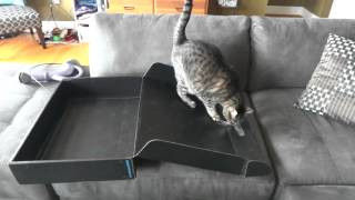 Alienware M18x R2 Unboxing July 2012 (Intel Core i7-3920XM CPU, Dual NVIDIA GTX 680M SLI, and more)