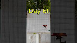 Follow me on instagram @terminal.47  #artchallenge #countdown #pixelart