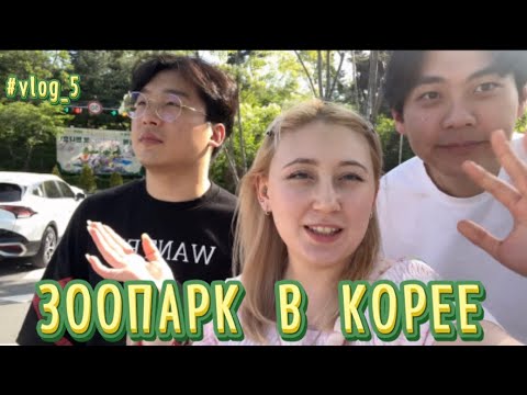 видео: На нас напал тигр!!! / Прогулка по Зоопарку, Корейский зоопарк. KOREA #vlog5 #zoo #зоопарк #влог