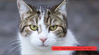 Larry, The Downing Street Cat - That Was The Week That Was