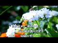 『なっちゃんCAR〜川野夏美さんがカバーされた曲を歌う〜』•••「少年時代」(井上陽水さん)