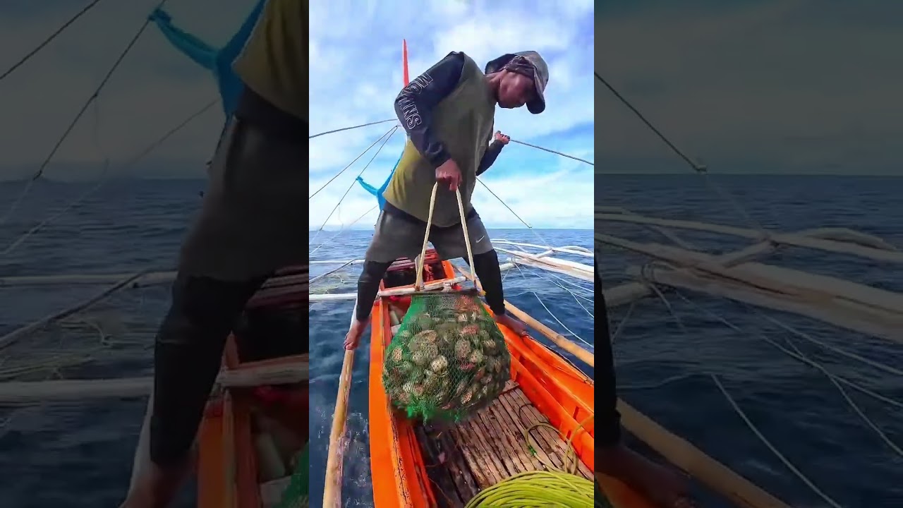 Naka chamba sa bahura #shells #seafoods #fishing #fisherman #sea