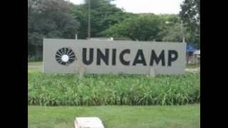 University of Campinas