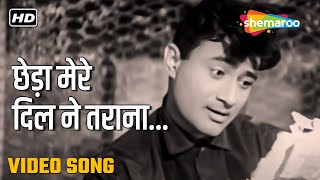 छेड़ा मेरे दिल ने तराना | Chheda Mere Dil Ne Tarana - HD Video | Asli Naqli (1962) | Dev Anand | Rafi chords