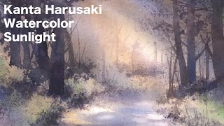 Kanta Harusaki　Watercolor　[Sunlight ]  水彩画  春崎幹太 木漏れ日