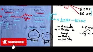 INTRODUCTION TO JUPEB A-LEVEL BOTANY